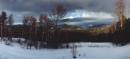 Winter Scene